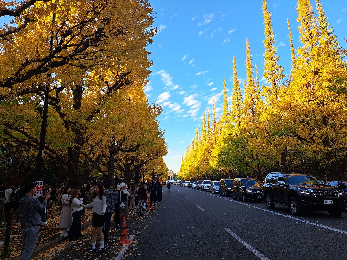 明治神宮外苑 | 去趣 chicTrip