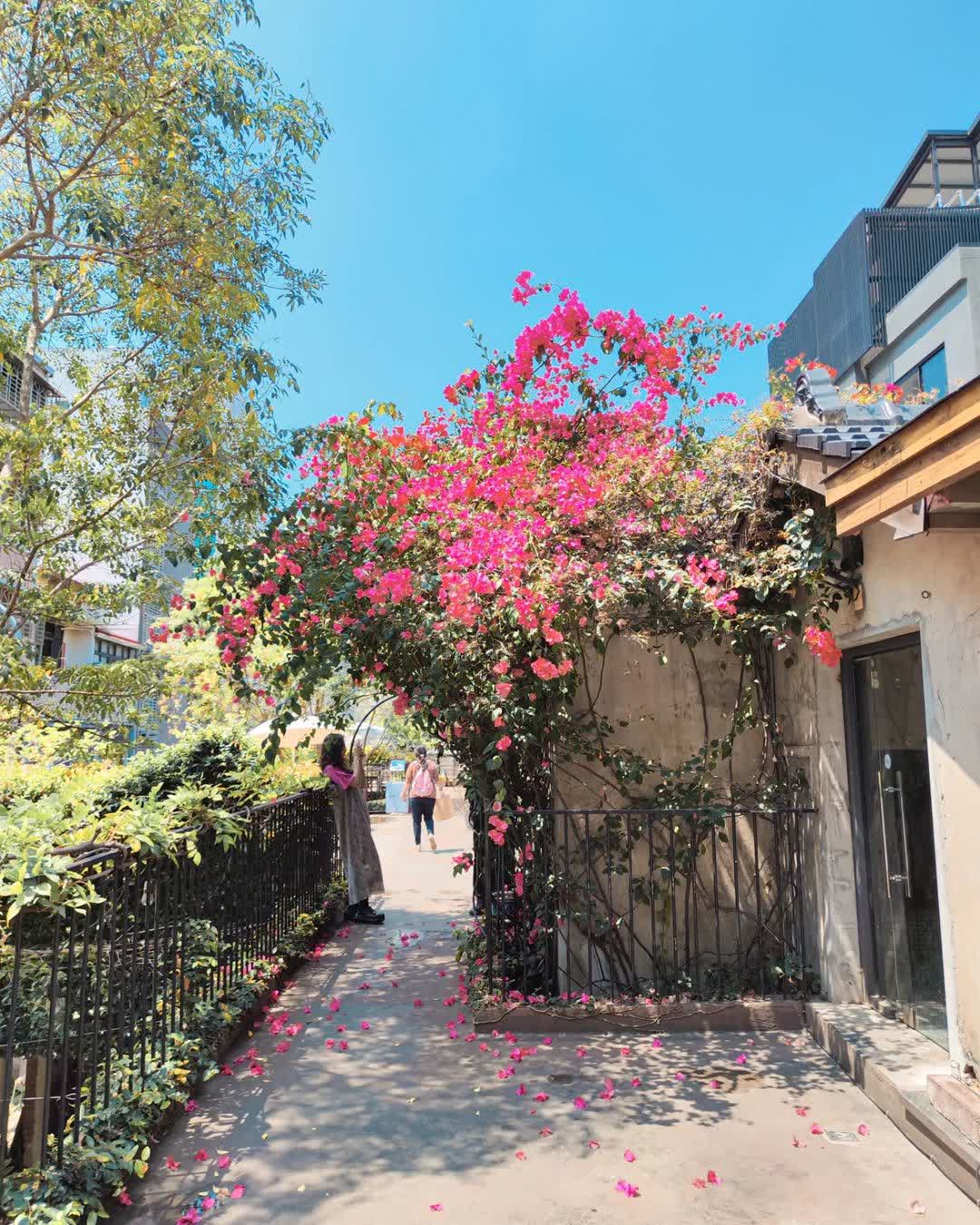 綠光計畫范特喜文創聚落 | 去趣 chicTrip