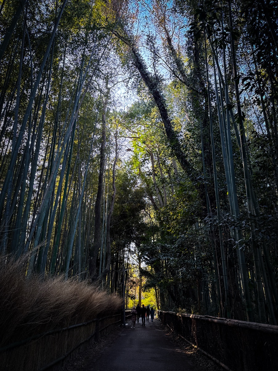 嵐山竹林小徑 | 去趣 chicTrip