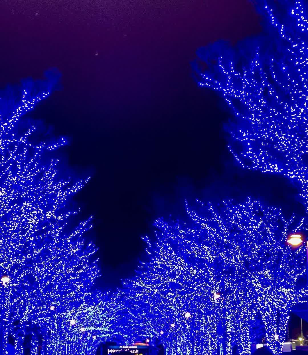 青之洞窟 | 去趣 chicTrip