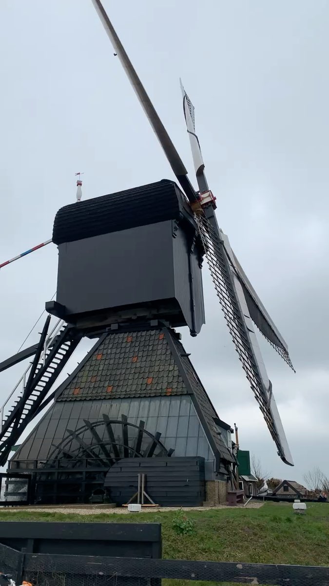 小孩堤防-埃爾斯豪特風車群 | 去趣 chicTrip