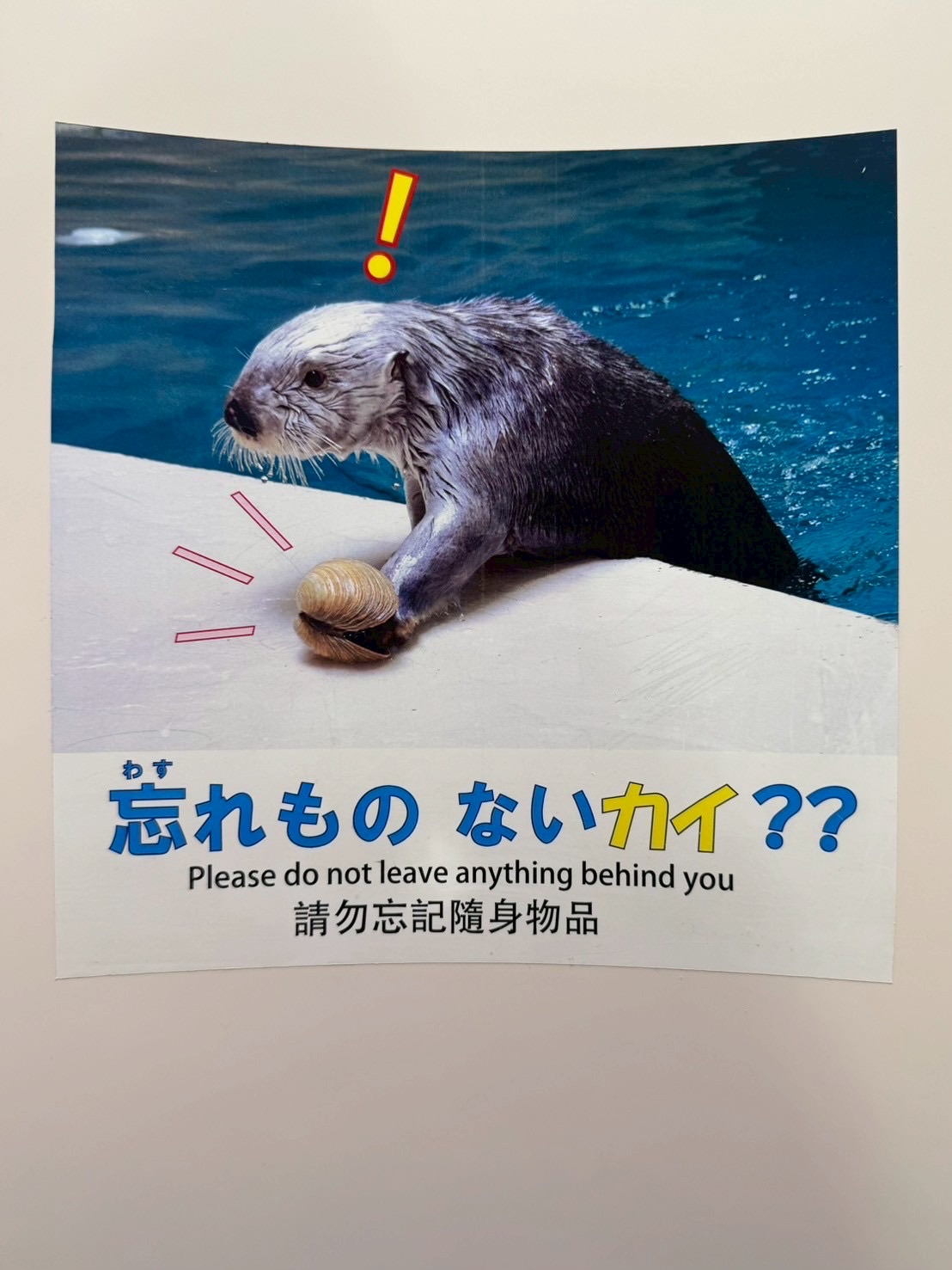 鳥羽水族館 | 去趣 chicTrip