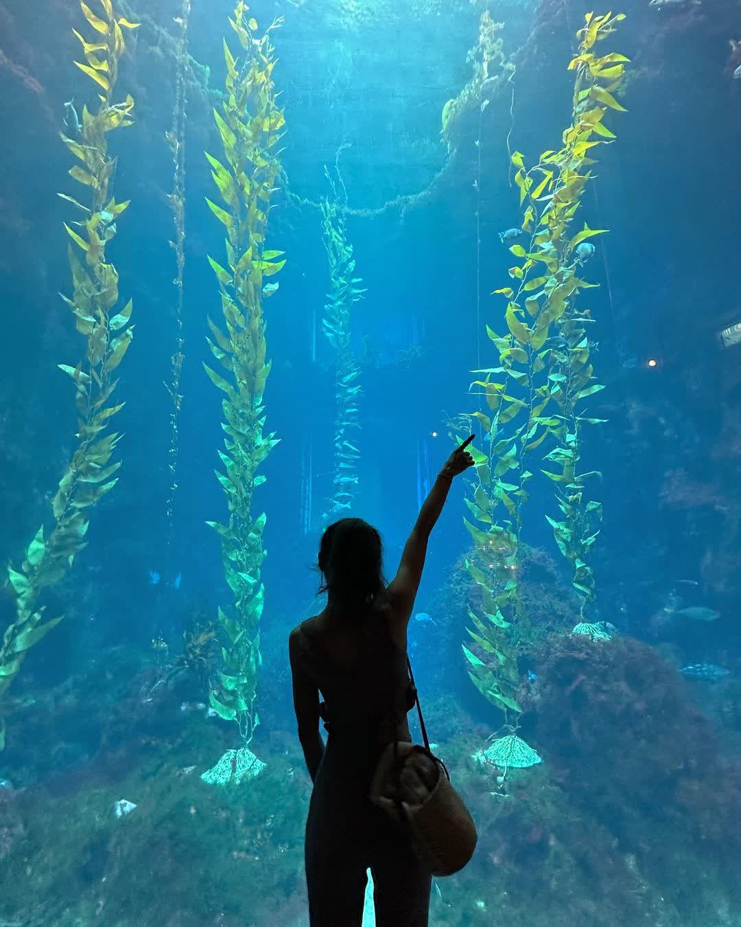 國立海洋生物博物館 | 去趣 chicTrip