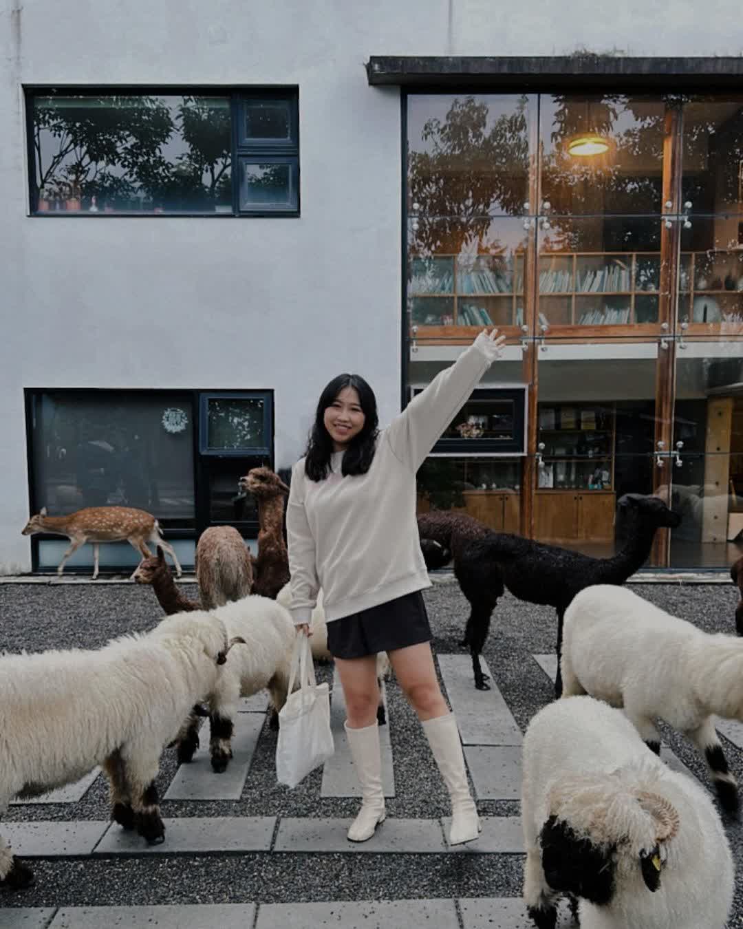 張美阿嬤農場（月森甯手作工坊） | 去趣 chicTrip