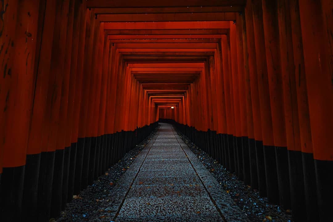 伏見稻荷大社 千本鳥居 | 去趣 chicTrip