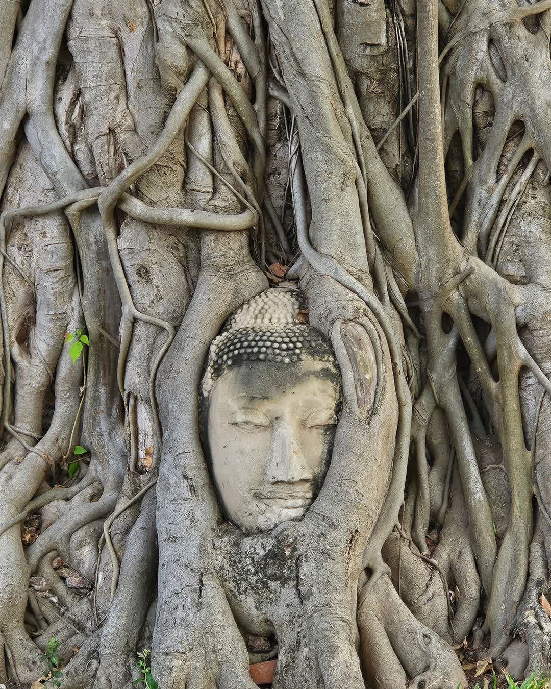 崖差蒙空寺 | 去趣 chicTrip