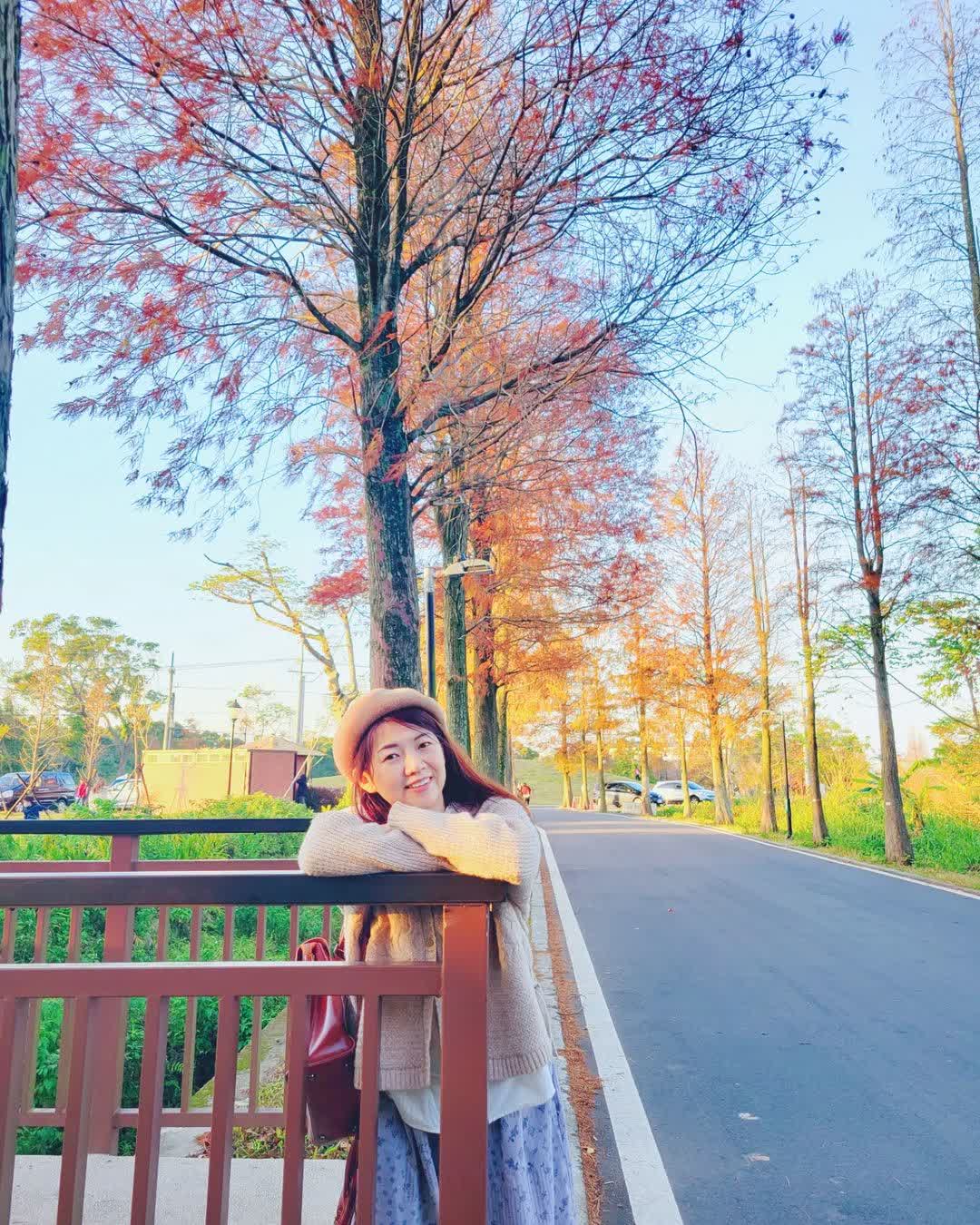 落羽松大道 | 去趣 chicTrip