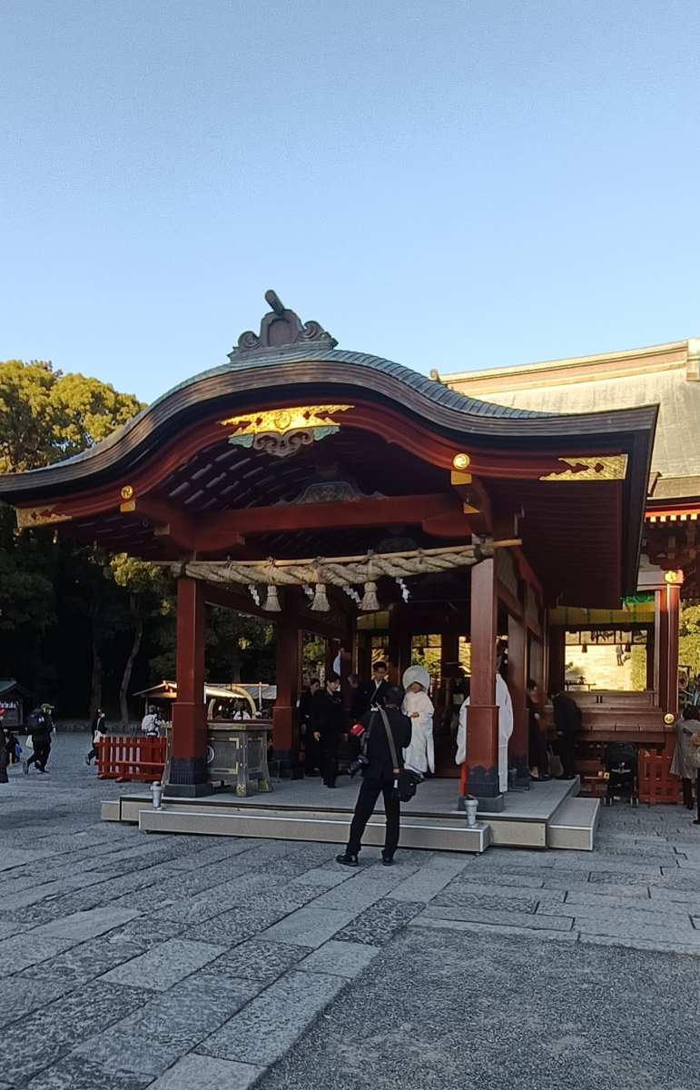 鶴岡八幡宮 | 去趣 chicTrip