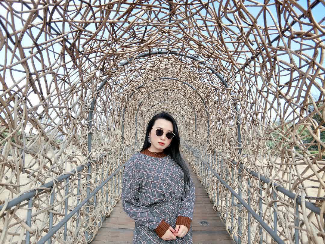 森林之歌 | 去趣 chicTrip