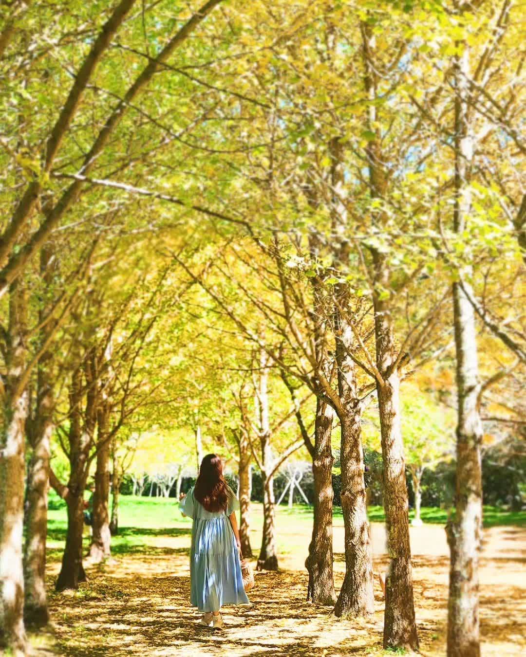 武陵農場 | 去趣 chicTrip