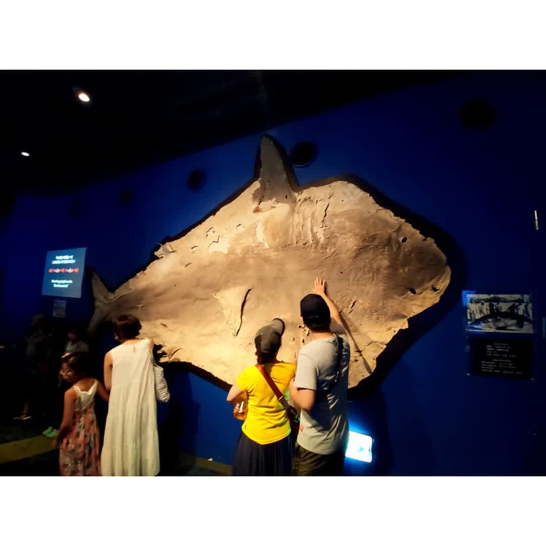 沖繩美麗海水族館 | 去趣 chicTrip