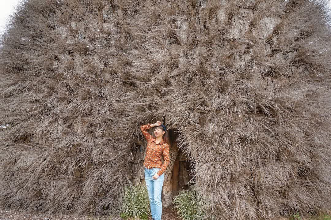 成美文化園 | 去趣 chicTrip