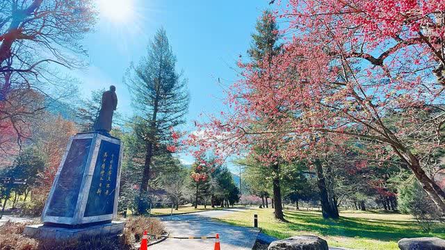 武陵農場 | 去趣 chicTrip