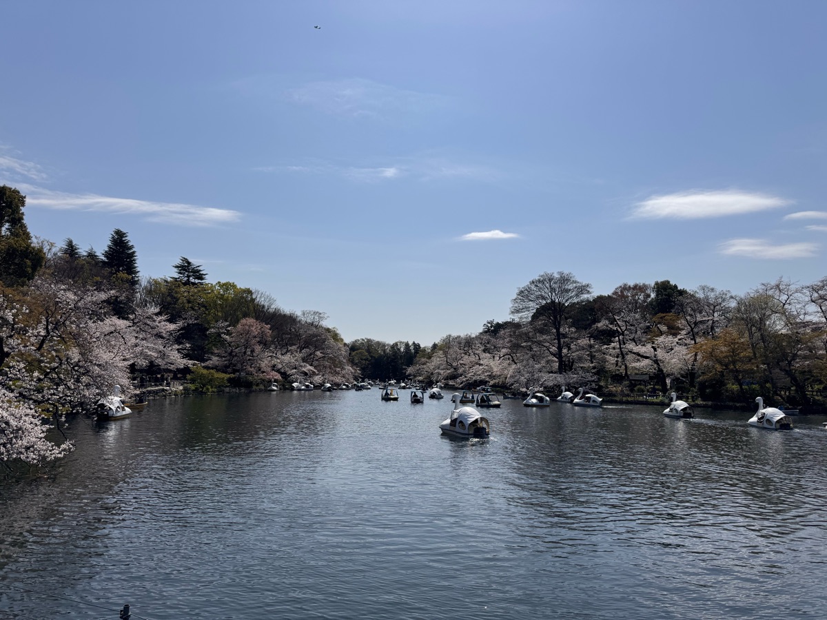 井之頭恩賜公園 | 去趣 chicTrip