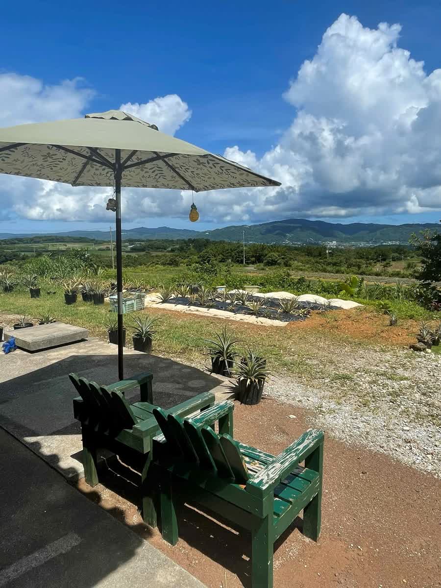 たくし農園 ちゅらふる パイナップル直売所 | 去趣 chicTrip