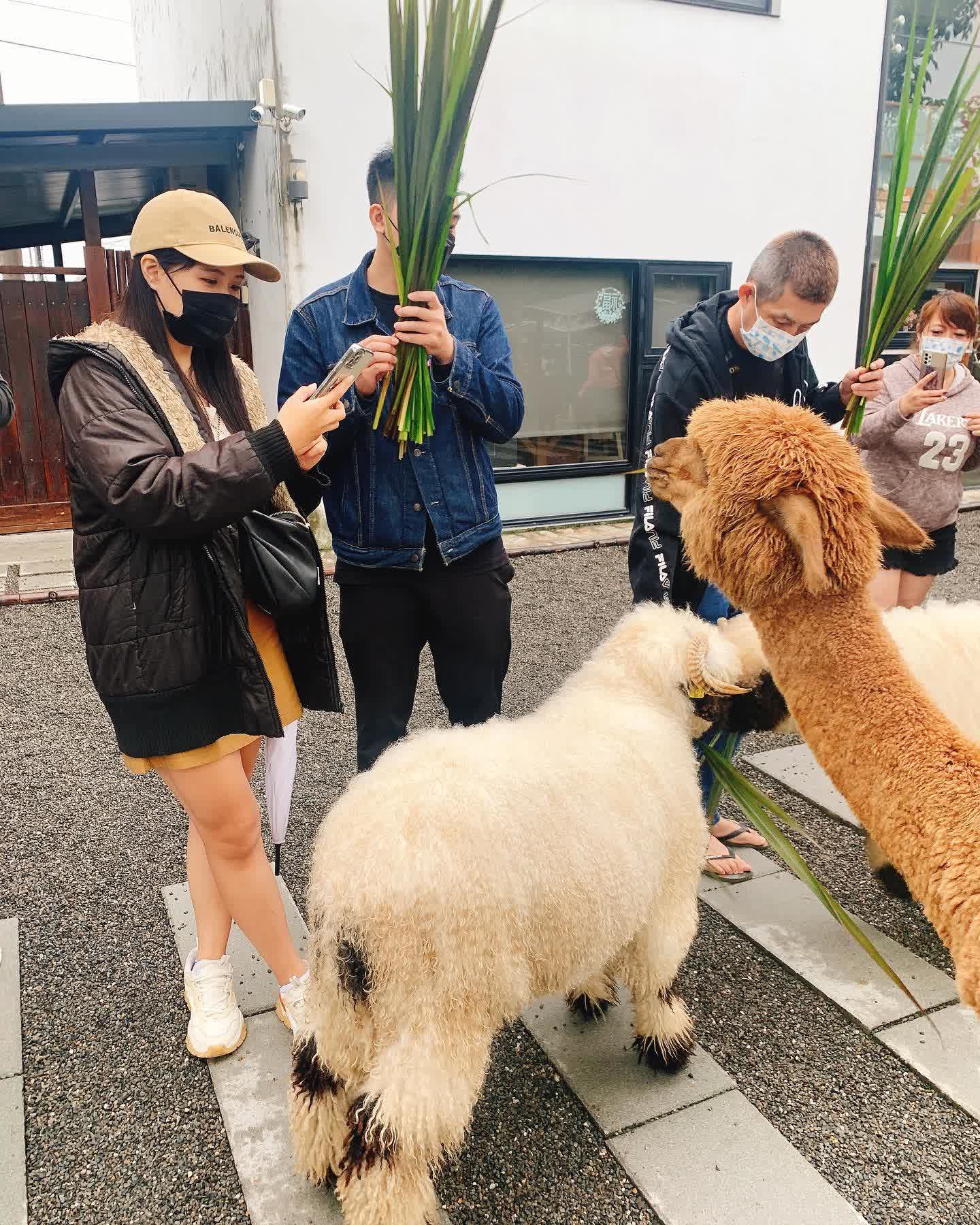 張美阿嬤農場（月森甯手作工坊） | 去趣 chicTrip