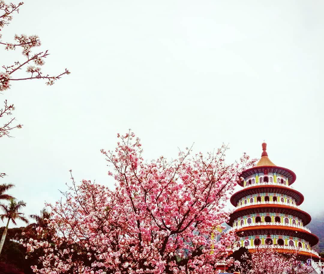 無極天元宮 | 去趣 chicTrip