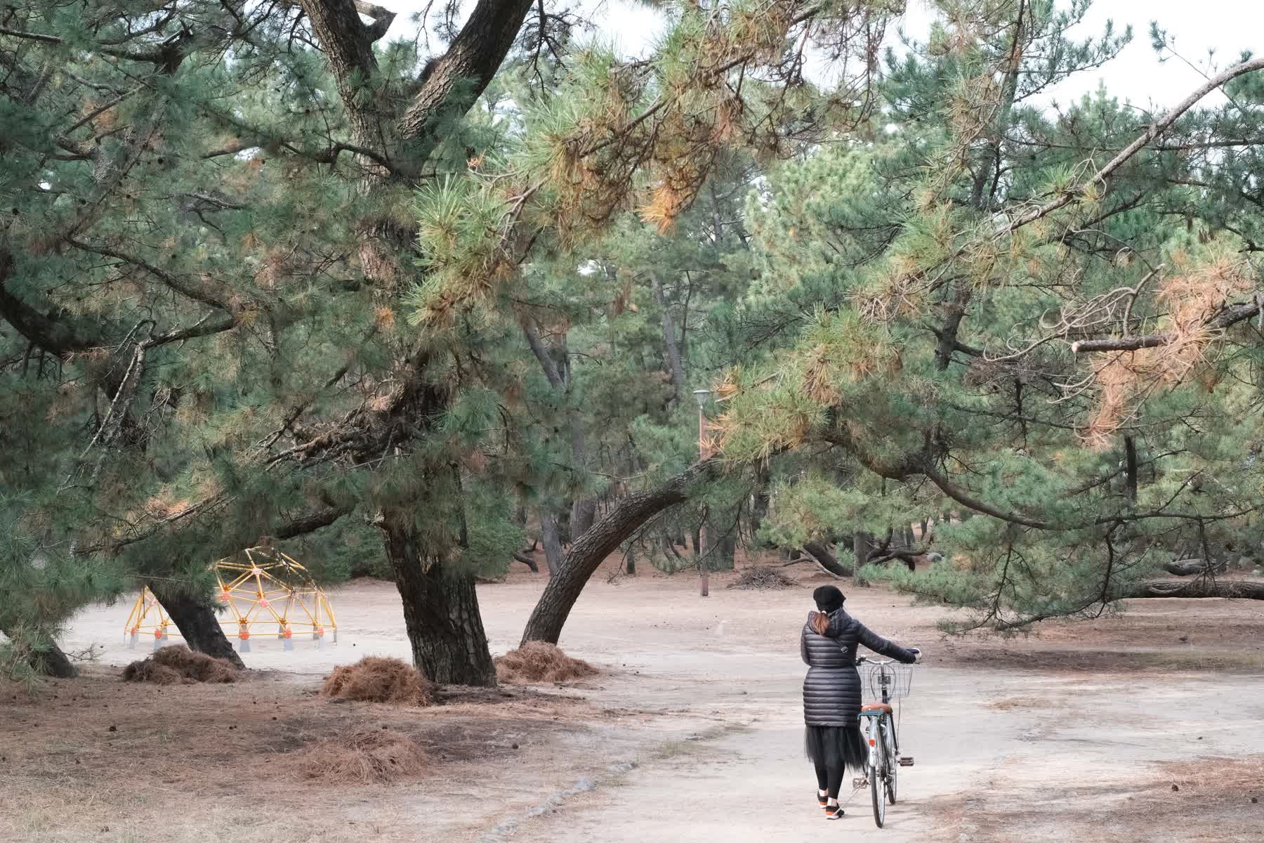 虹之松原 | 去趣 chicTrip