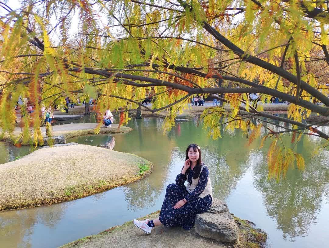 青埔落羽松秘境 | 去趣 chicTrip