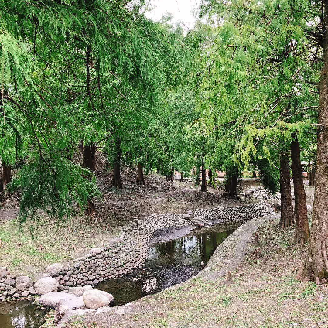 羅東運動公園 | 去趣 chicTrip