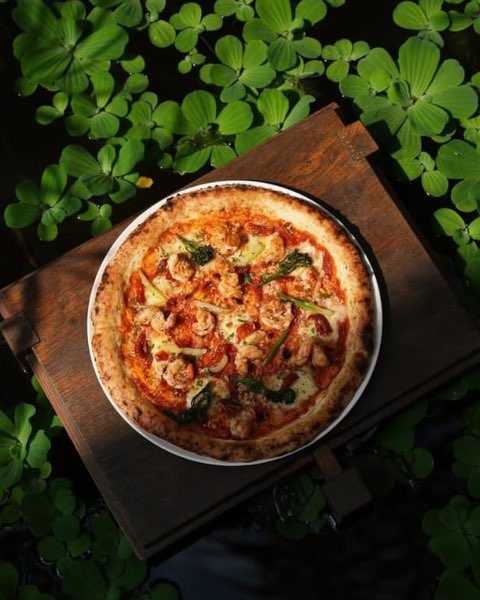 Pizza 4P