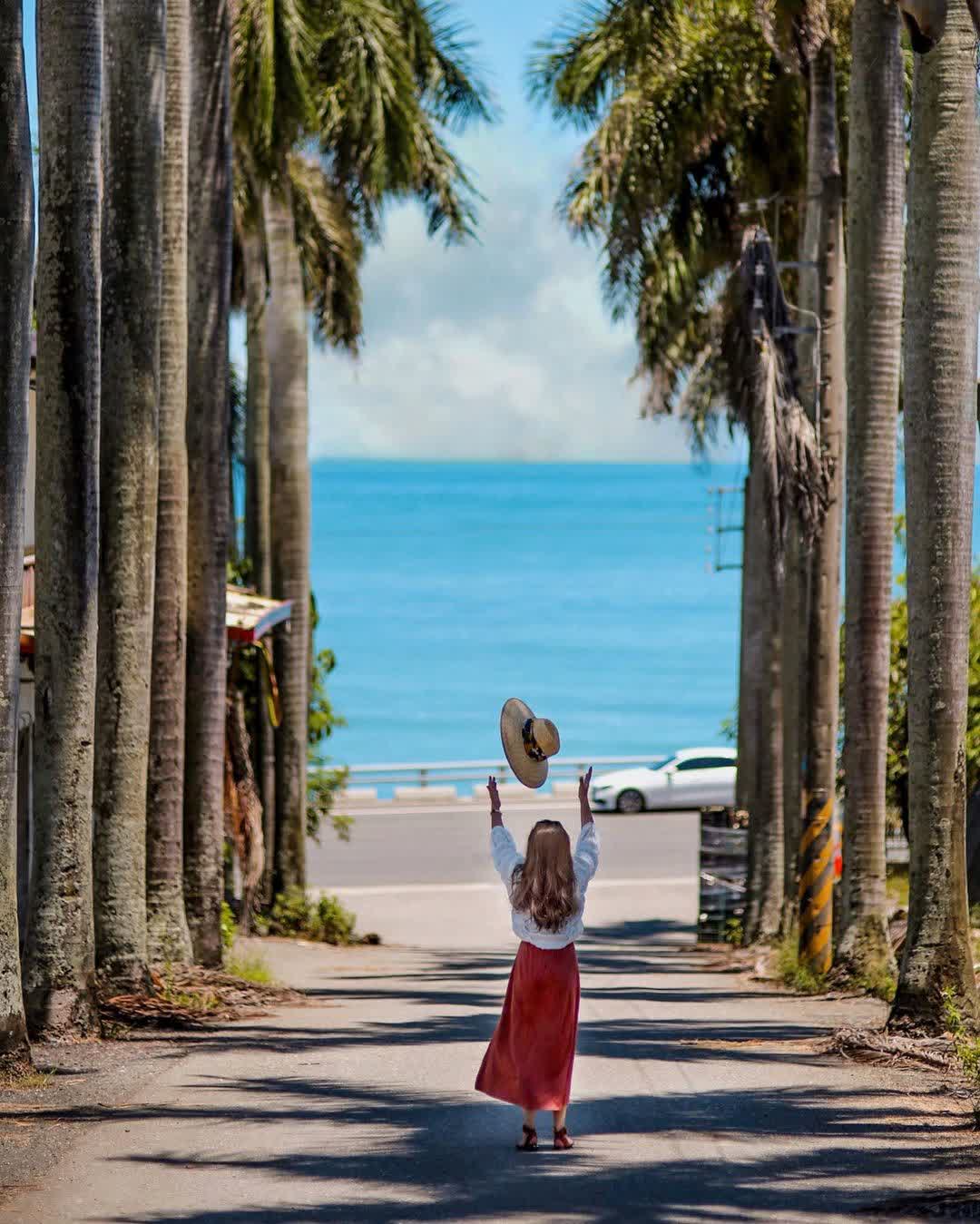 華源椰林大道 | 去趣 chicTrip