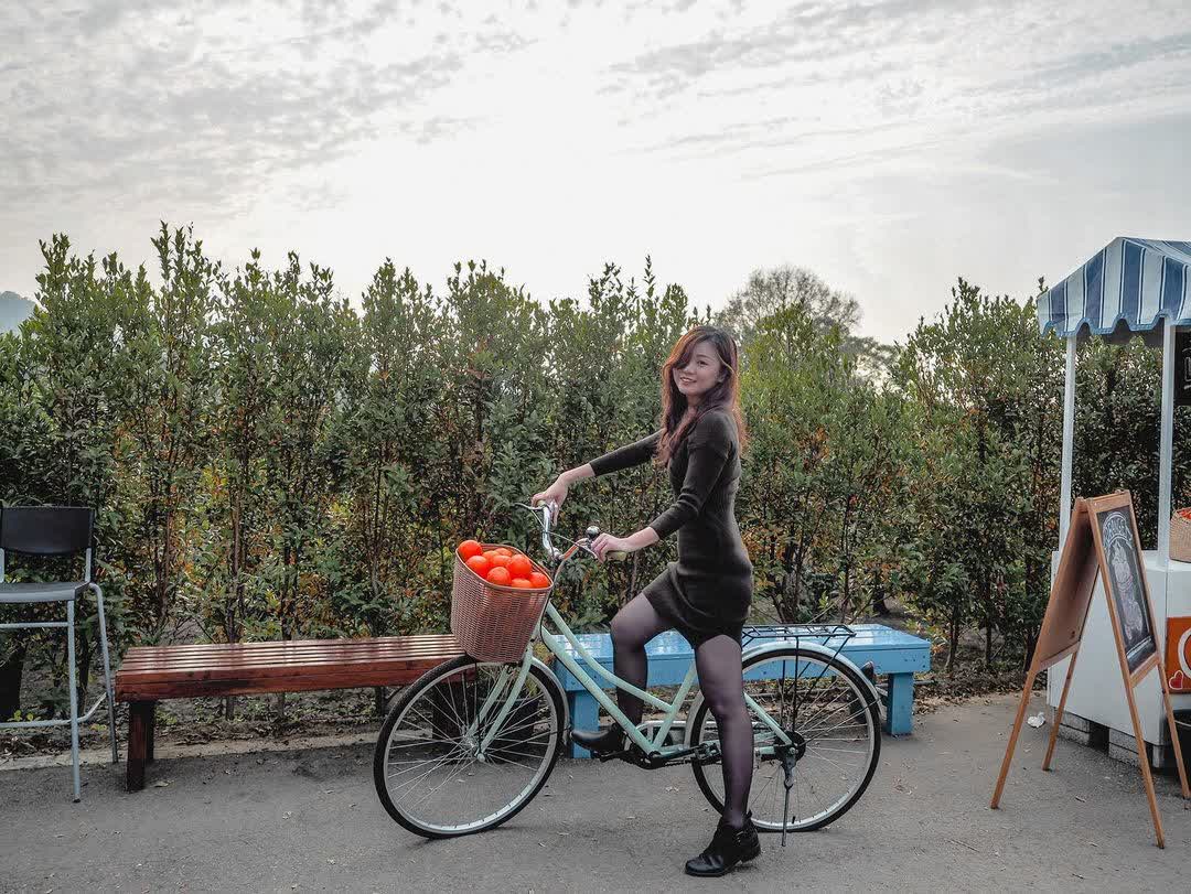 橙香森林 | 去趣 chicTrip