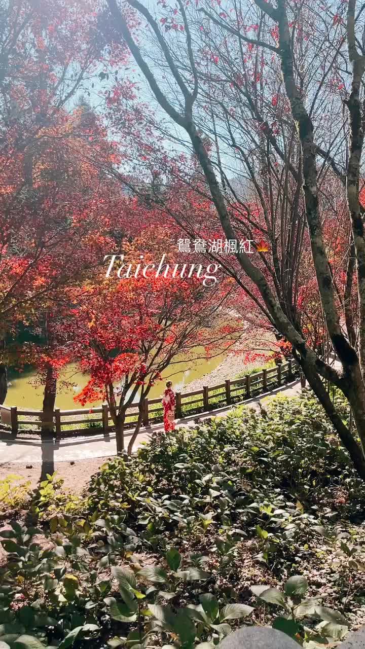 福壽山農場松廬(賞楓) | 去趣 chicTrip
