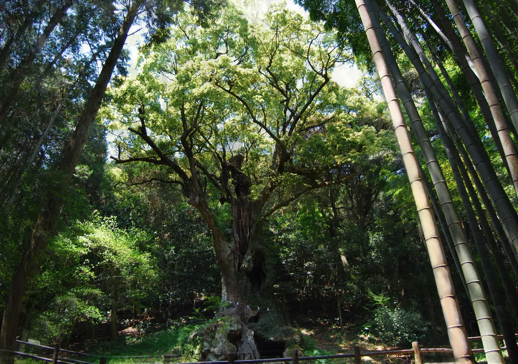 武雄神社 | 去趣 chicTrip
