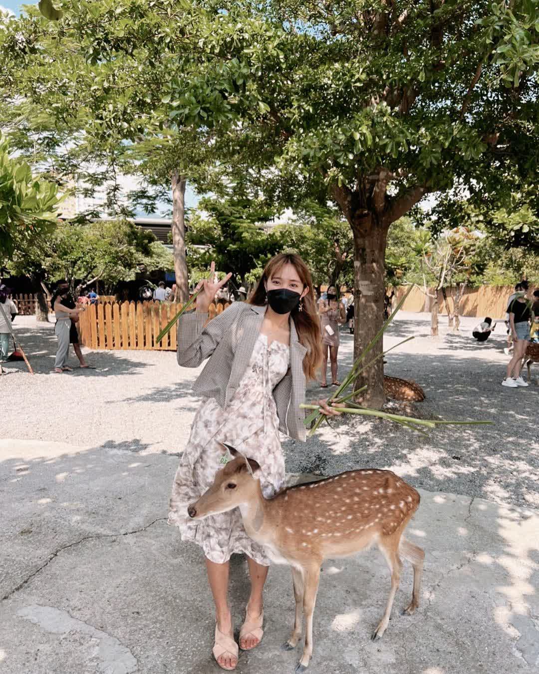 鹿境梅花鹿生態園區丨門票消費最高折抵140丨梅花鹿、水豚互動餵食丨室內親子DIY區丨親子遊戲區丨甜鹹輕食霜淇淋供應丨超可愛獨家紀念品丨奶茶、咖啡好喝 | 去趣 chicTrip