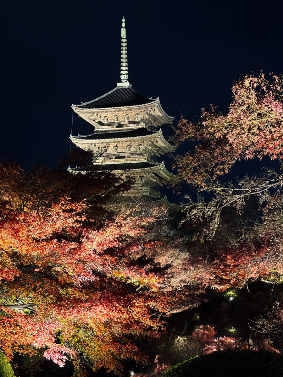 東寺(教王護國寺) | 去趣 chicTrip