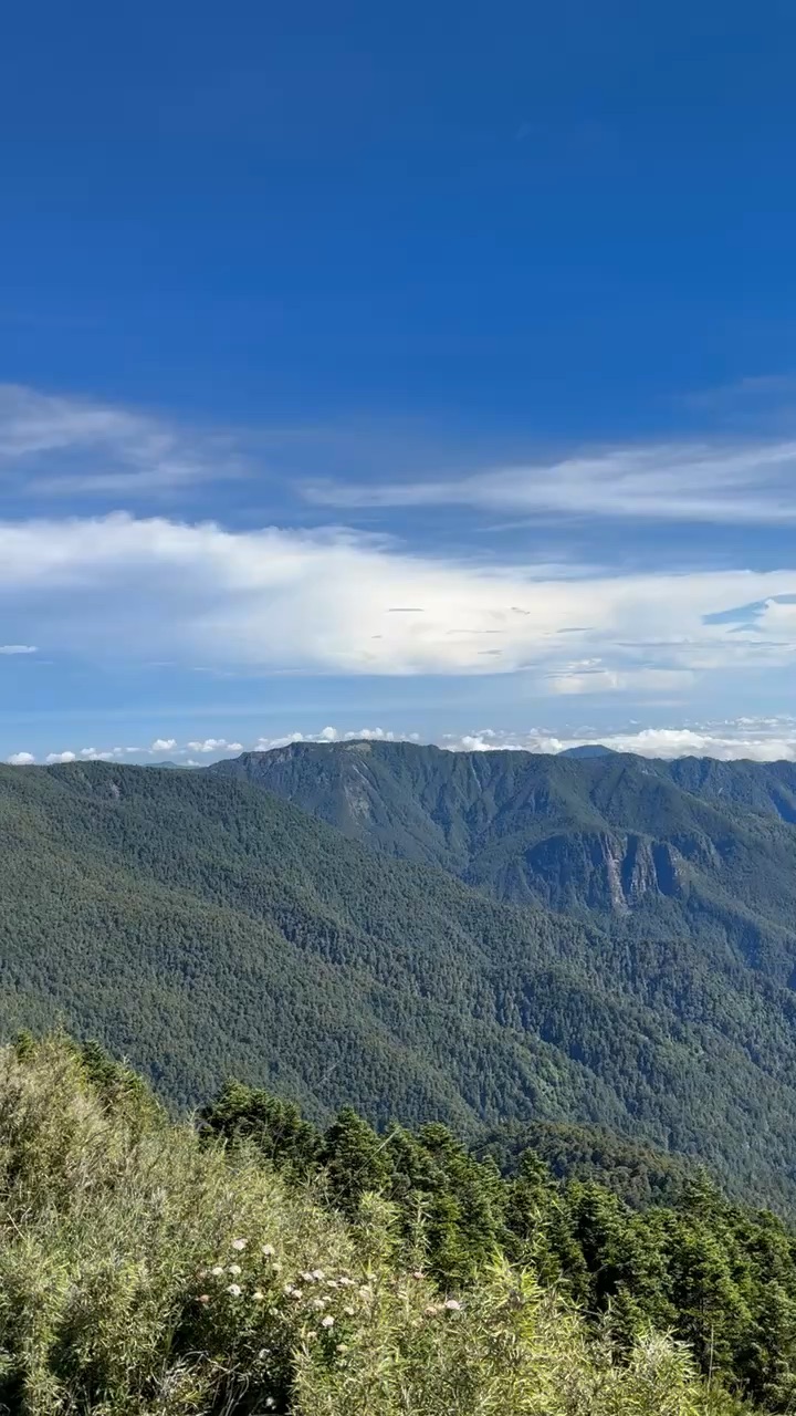 桃山