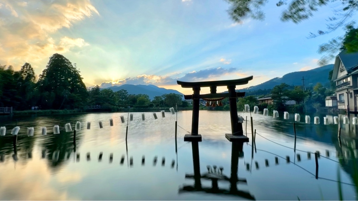 金鱗湖 | 去趣 chicTrip