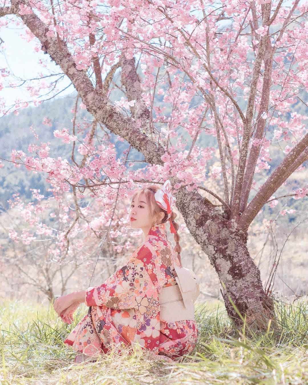 武陵農場 | 去趣 chicTrip