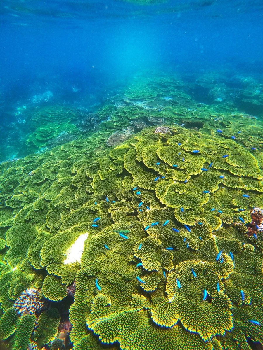 金瓜仔礁（忘憂島） | 去趣 chicTrip