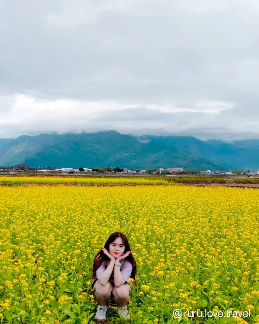 臺東池上錦新三號道路 伯朗大道 | 去趣 chicTrip