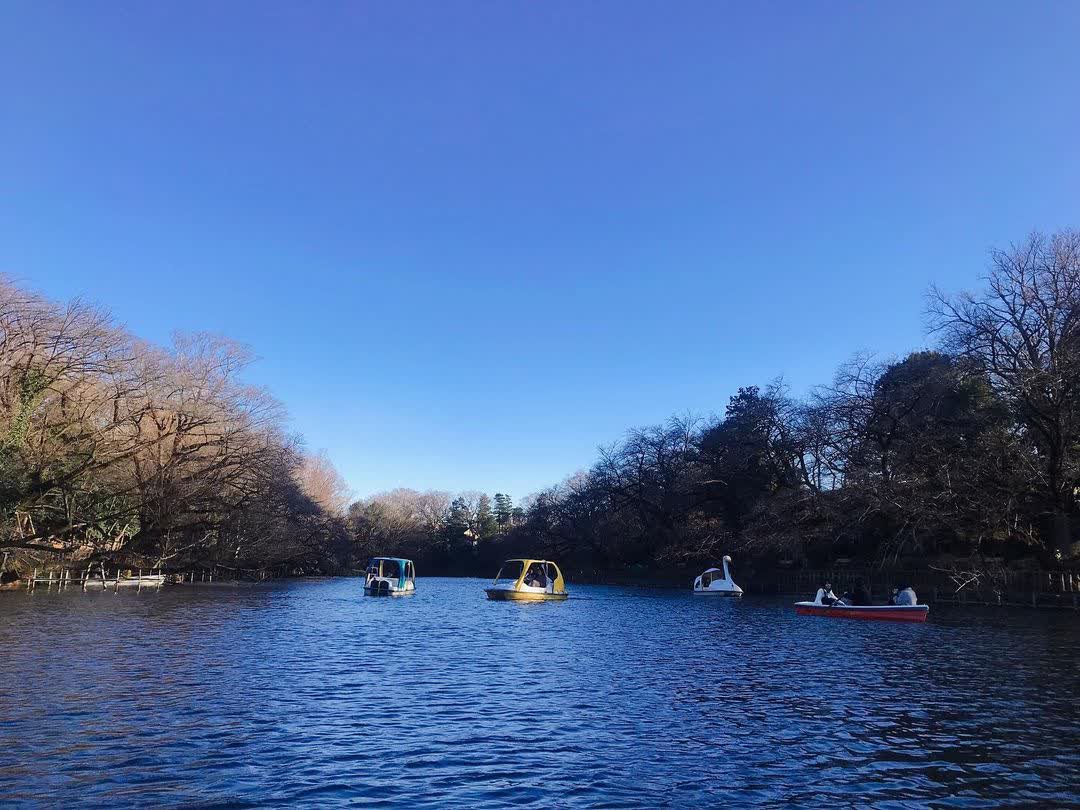 井之頭恩賜公園 | 去趣 chicTrip