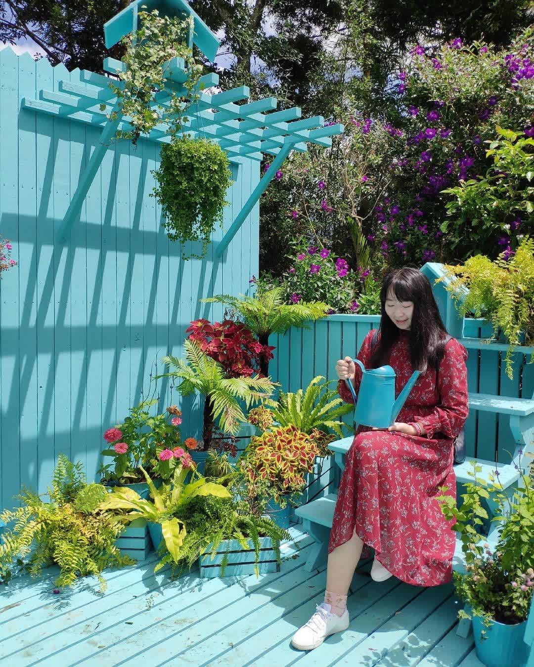 薰衣草森林台中新社店 | 去趣 chicTrip