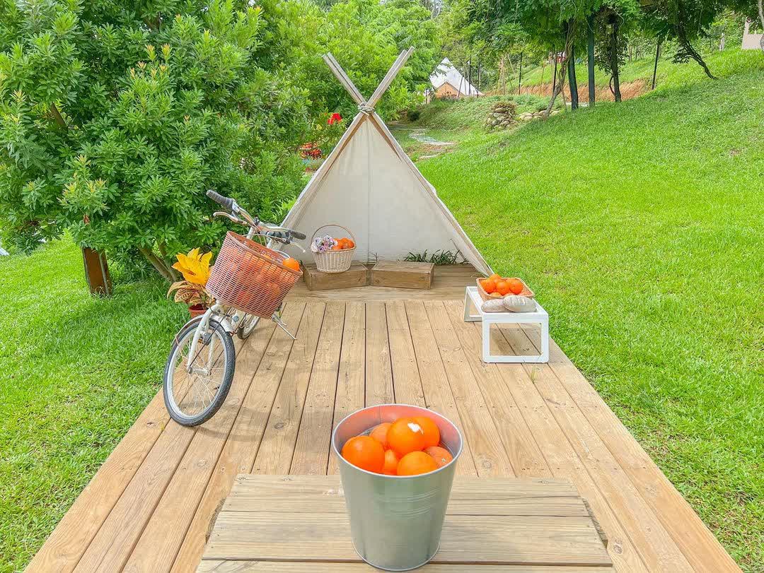 橙香森林 | 去趣 chicTrip