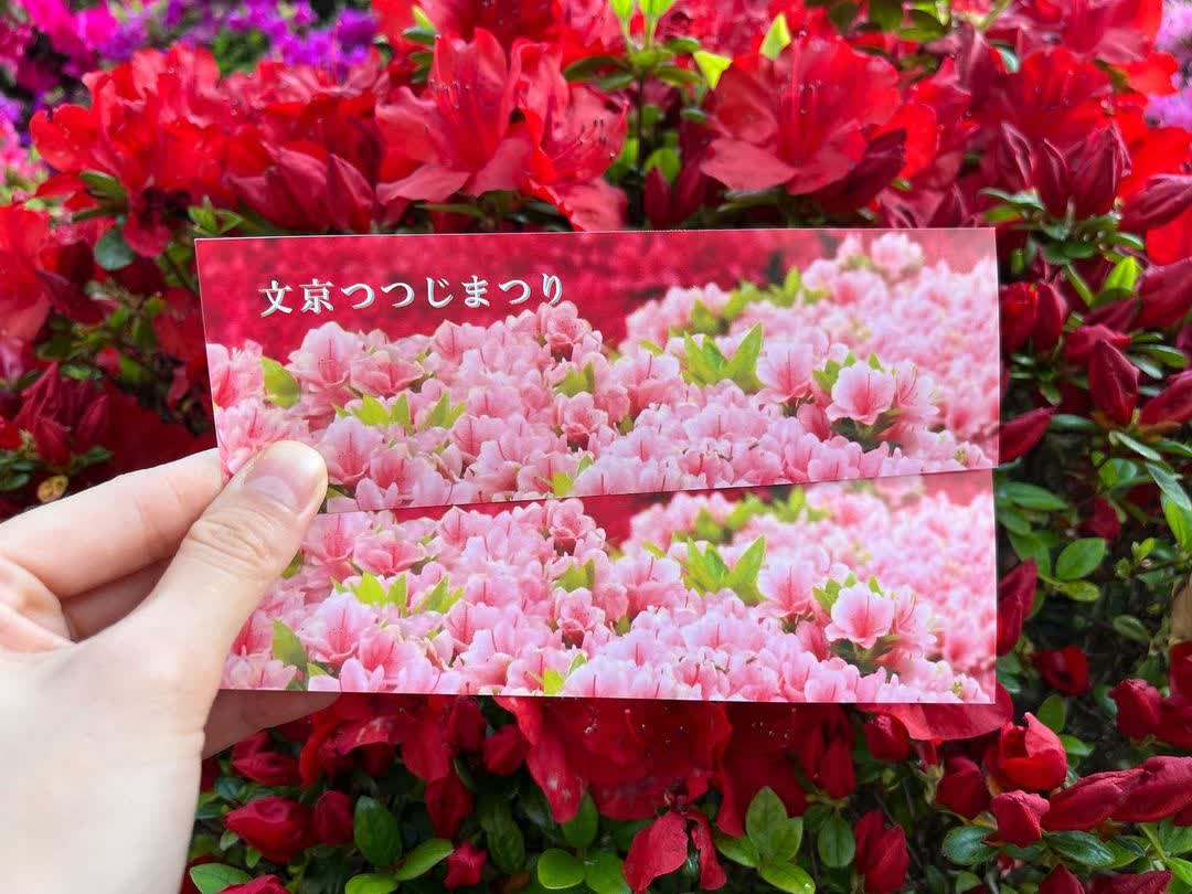 根津神社 | 去趣 chicTrip