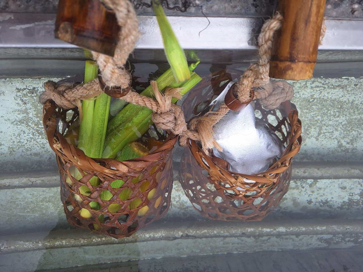 清水地熱公園 | 去趣 chicTrip