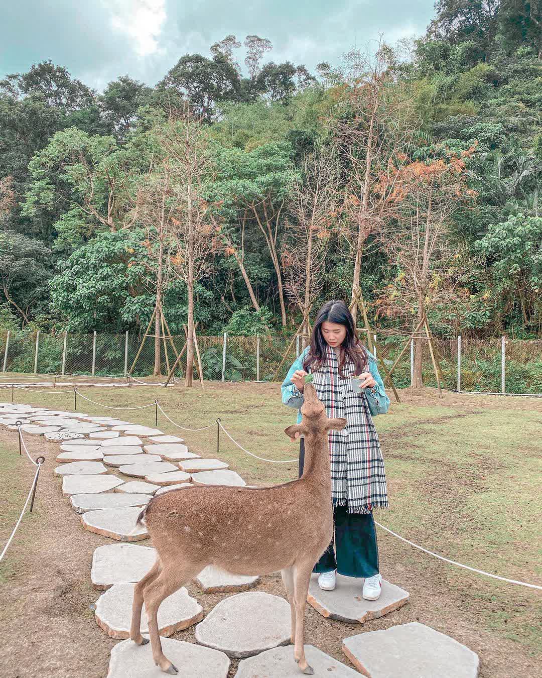 宜蘭-斑比山丘 | 去趣 chicTrip