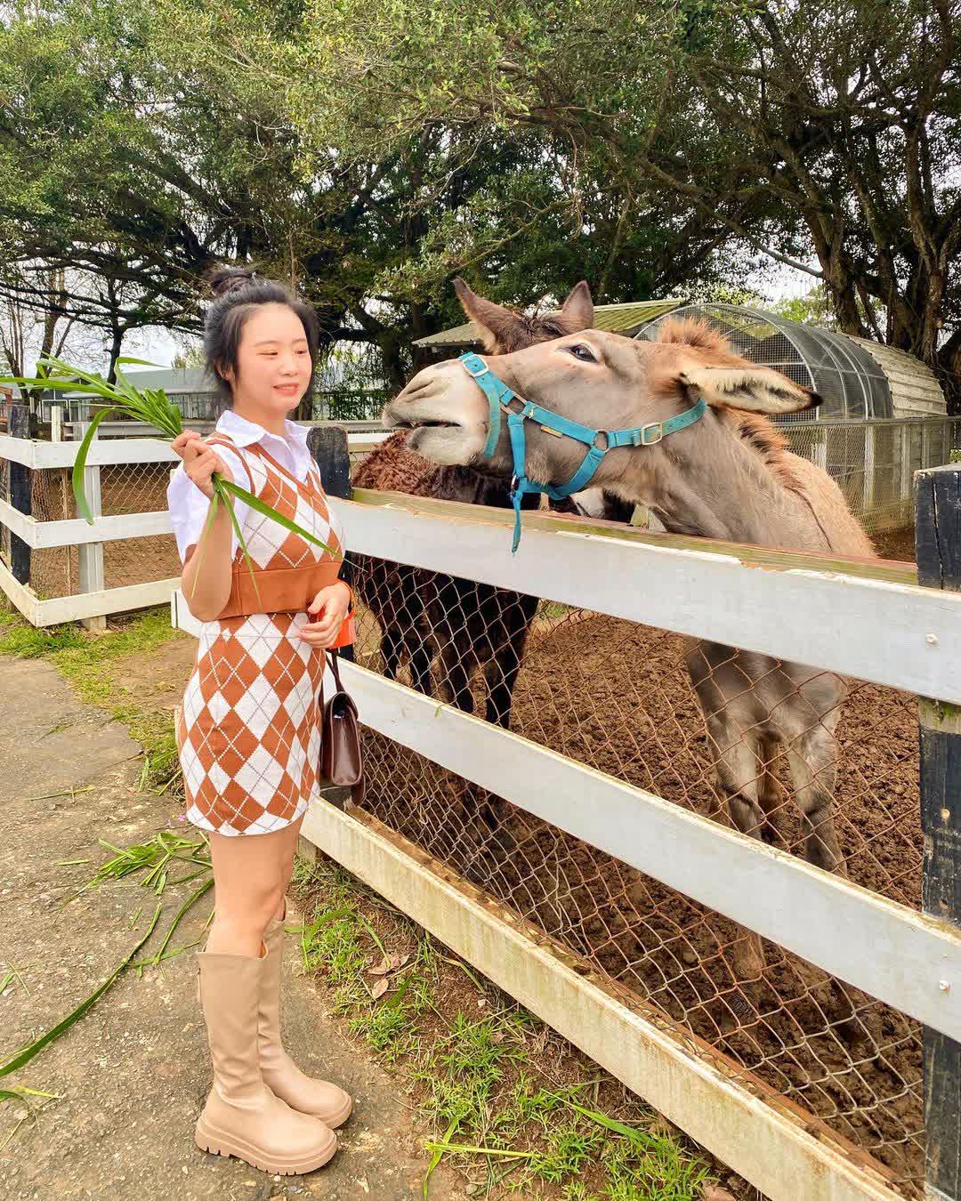 初鹿牧場 | 去趣 chicTrip