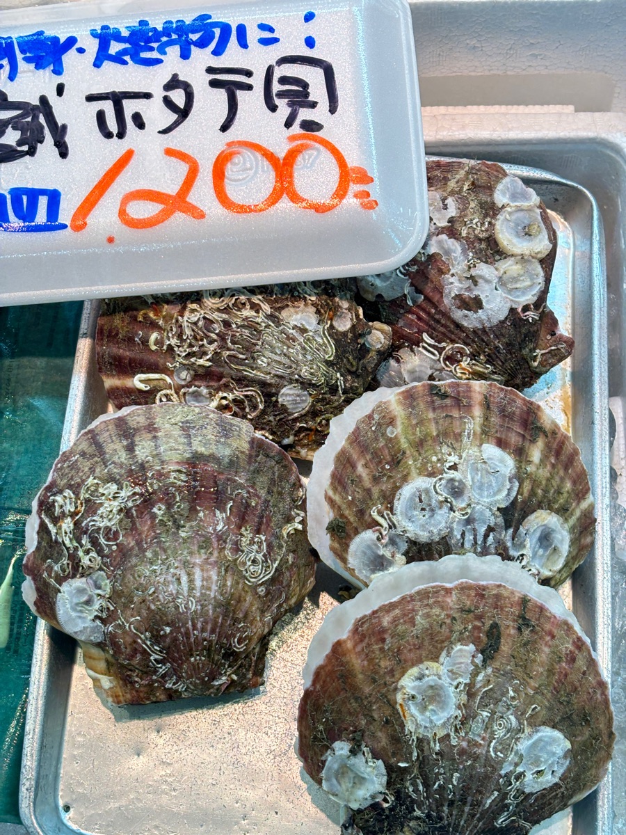八食中心 | 去趣 chicTrip