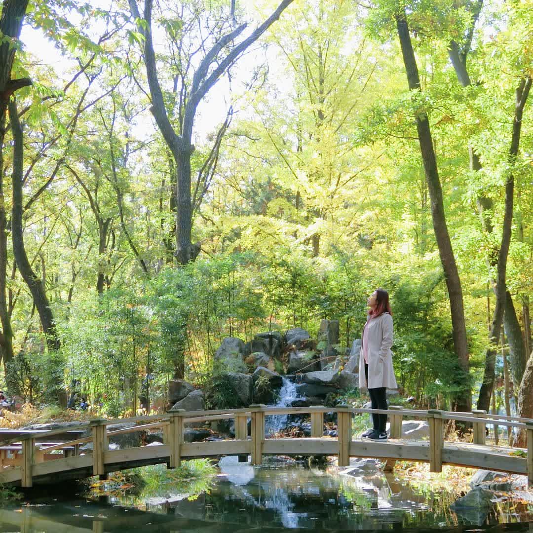 南怡島남이섬 | 去趣 chicTrip