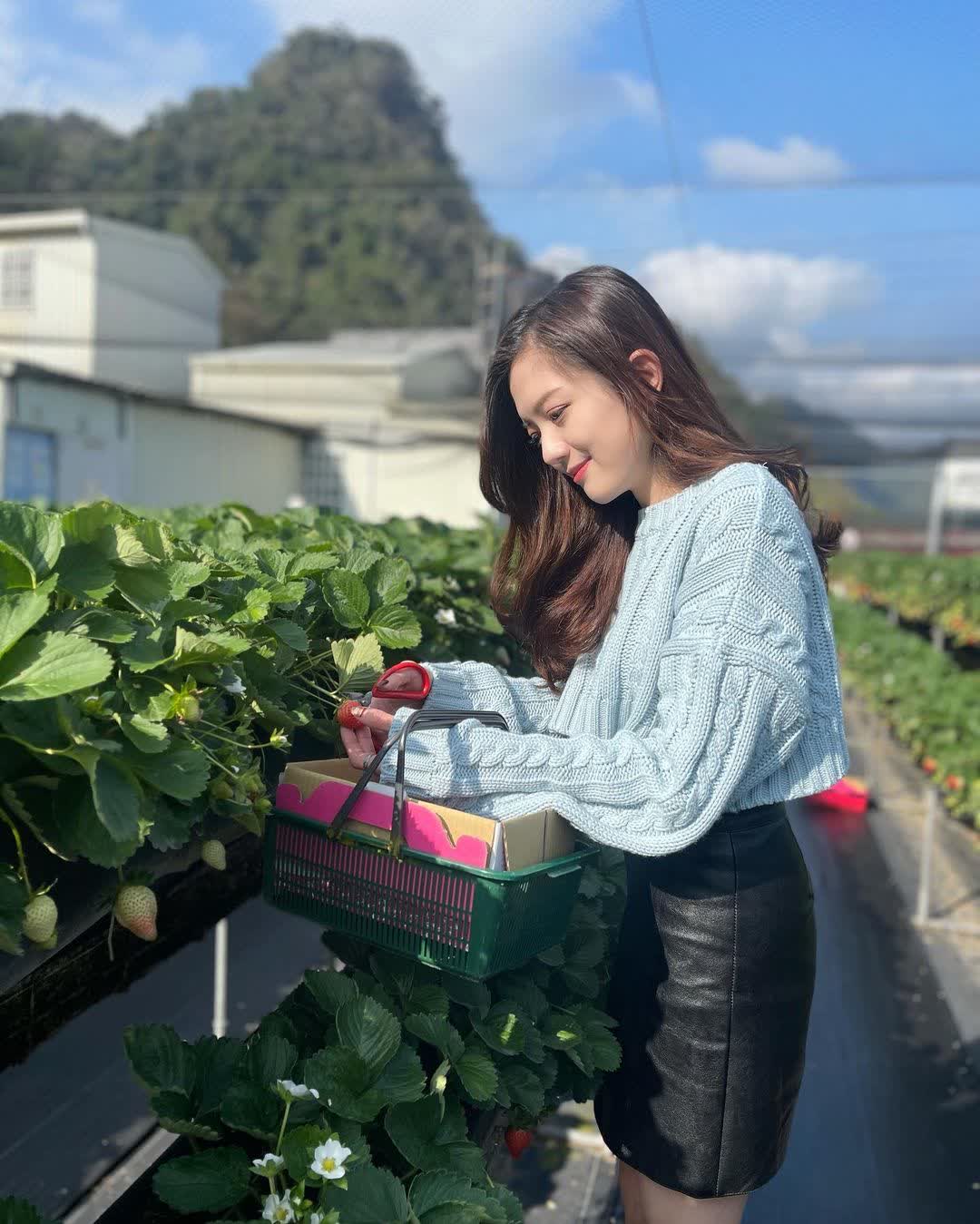 大湖阿雪草莓園(第一高架園區) | 去趣 chicTrip