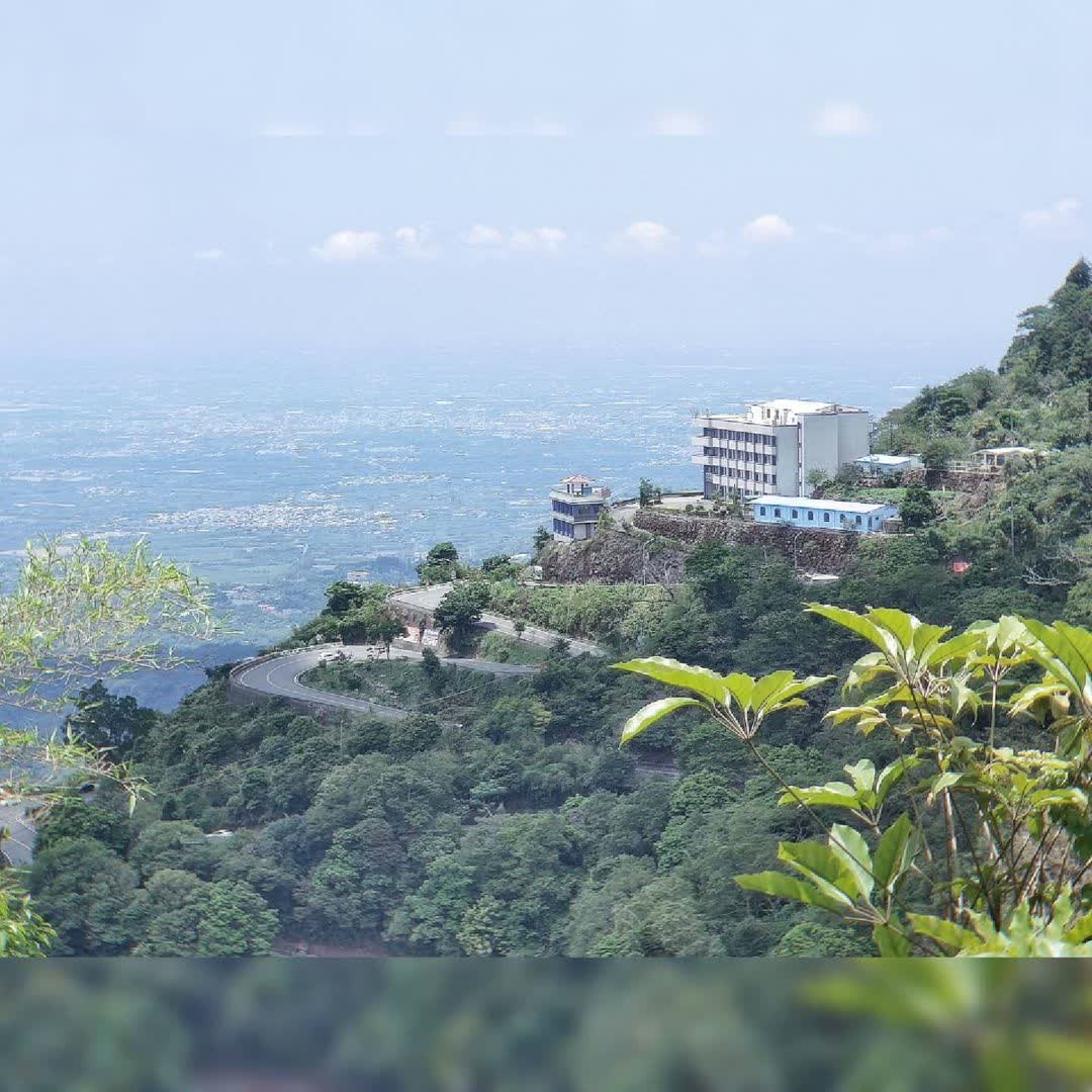 嘉義梅山太平雲梯 | 去趣 chicTrip