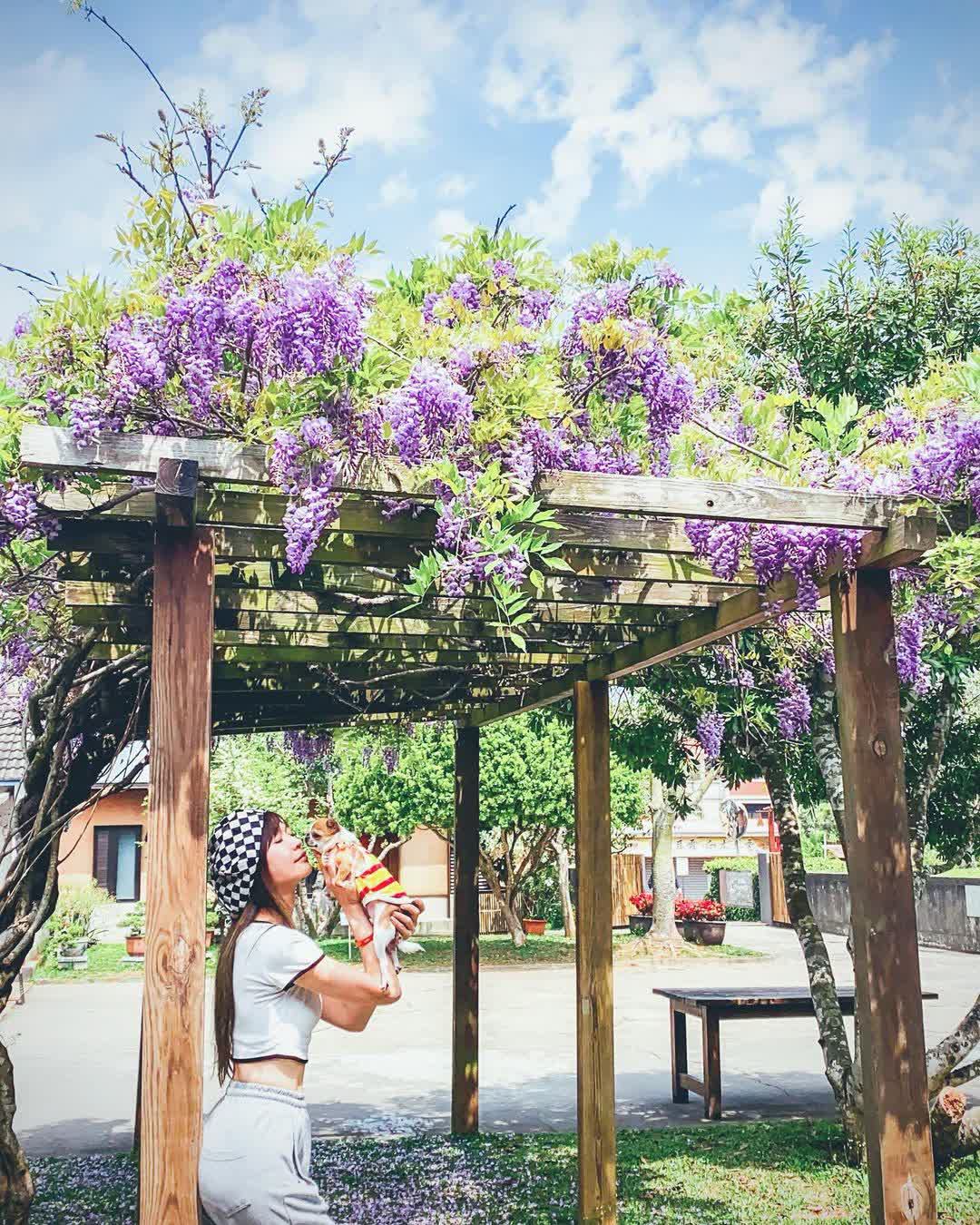 微熱山丘 南投三合院門市（總店） | 去趣 chicTrip