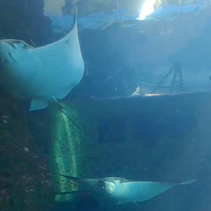 國立海洋生物博物館 | 去趣 chicTrip