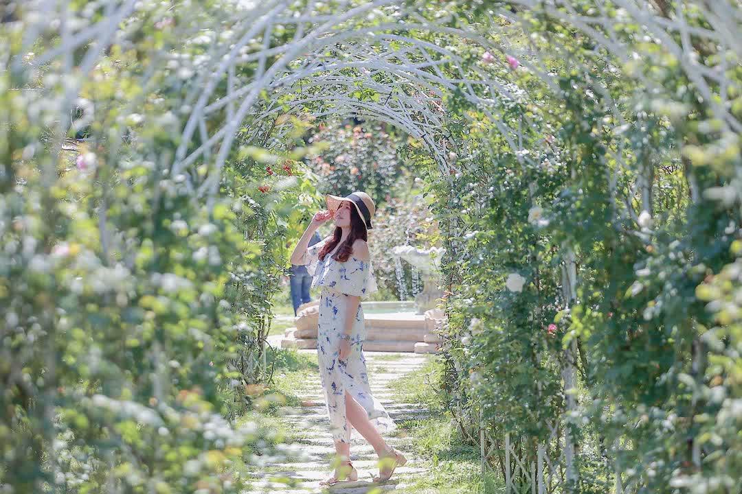 雅聞七里香玫瑰森林 | 去趣 chicTrip